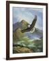 Eagle Gliding-unknown Caroselli-Framed Art Print