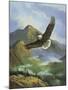 Eagle Gliding-unknown Caroselli-Mounted Art Print