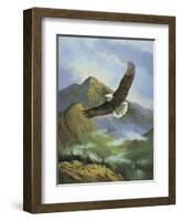 Eagle Gliding-unknown Caroselli-Framed Art Print