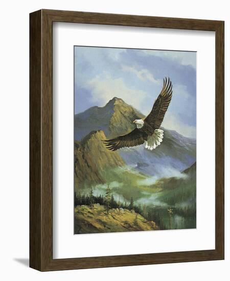 Eagle Gliding-unknown Caroselli-Framed Art Print