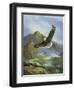 Eagle Gliding-unknown Caroselli-Framed Art Print