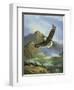 Eagle Gliding-unknown Caroselli-Framed Art Print