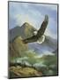 Eagle Gliding-unknown Caroselli-Mounted Art Print