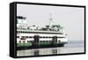 Eagle Harbor, Ferry Arrives Bainbridge from Seattle-Trish Drury-Framed Stretched Canvas