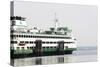 Eagle Harbor, Ferry Arrives Bainbridge from Seattle-Trish Drury-Stretched Canvas