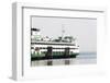 Eagle Harbor, Ferry Arrives Bainbridge from Seattle-Trish Drury-Framed Photographic Print