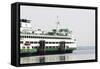 Eagle Harbor, Ferry Arrives Bainbridge from Seattle-Trish Drury-Framed Stretched Canvas