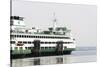 Eagle Harbor, Ferry Arrives Bainbridge from Seattle-Trish Drury-Stretched Canvas