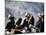 Eagle Hunters at the Golden Eagle Festival, Mongolia-Amos Nachoum-Mounted Photographic Print