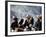 Eagle Hunters at the Golden Eagle Festival, Mongolia-Amos Nachoum-Framed Photographic Print