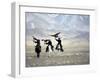 Eagle Hunters Dalai Khan, Takhuu Grandfather, Son Kook Kook, Golden Eagle Festival, Mongolia-Amos Nachoum-Framed Photographic Print