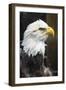 Eagle Hz 17 1-Robert Michaud-Framed Giclee Print