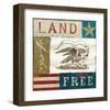 Eagle I block-Alan Hopfensperger-Framed Art Print