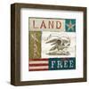 Eagle I block-Alan Hopfensperger-Framed Art Print