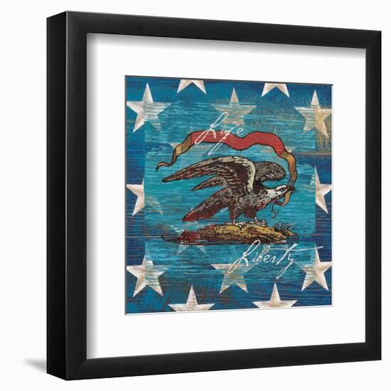 Eagle I Stars-Alan Hopfensperger-Framed Premium Giclee Print