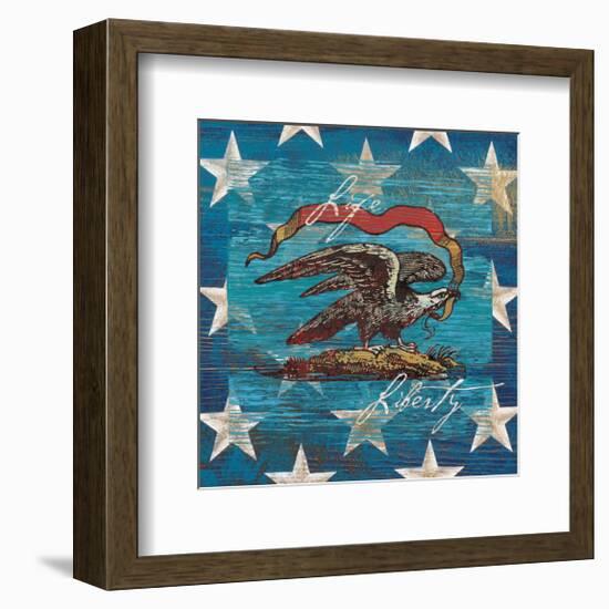 Eagle I Stars-Alan Hopfensperger-Framed Premium Giclee Print