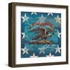 Eagle I Stars-Alan Hopfensperger-Framed Art Print