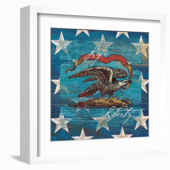 Eagle I Stars-Alan Hopfensperger-Framed Art Print