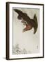 Eagle in Flight Against Snowy Sky-Koson Ohara-Framed Giclee Print