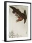 Eagle in Flight Against Snowy Sky-Koson Ohara-Framed Giclee Print