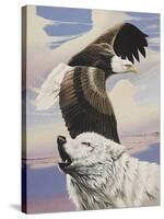 Eagle in Flight with Wolf-unknown Ampel-Stretched Canvas