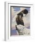 Eagle in Flight with Wolf-unknown Ampel-Framed Art Print