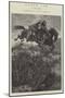 Eagle Joe-Richard Caton Woodville II-Mounted Giclee Print