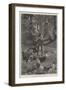 Eagle Joe-Richard Caton Woodville II-Framed Premium Giclee Print