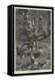 Eagle Joe-Richard Caton Woodville II-Framed Stretched Canvas