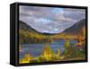 Eagle Lake, Acadia National Park, Mount Desert Island, Maine, New England, USA, North America-Alan Copson-Framed Stretched Canvas