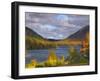 Eagle Lake, Acadia National Park, Mount Desert Island, Maine, New England, USA, North America-Alan Copson-Framed Photographic Print