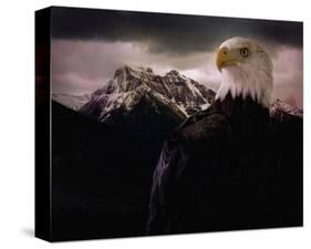 Eagle Mountain-Steve Hunziker-Stretched Canvas