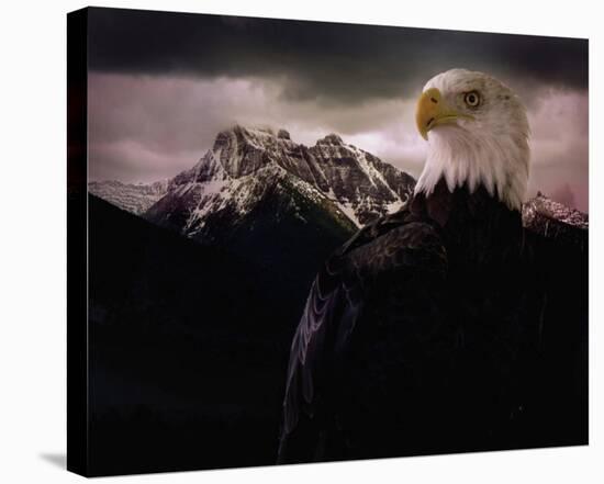 Eagle Mountain-Steve Hunziker-Stretched Canvas