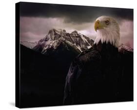Eagle Mountain-Steve Hunziker-Stretched Canvas