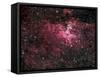 Eagle Nebula-Stocktrek Images-Framed Stretched Canvas