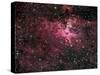 Eagle Nebula-Stocktrek Images-Stretched Canvas