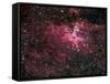 Eagle Nebula-Stocktrek Images-Framed Stretched Canvas