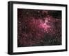 Eagle Nebula-Stocktrek Images-Framed Photographic Print
