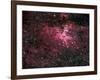 Eagle Nebula-Stocktrek Images-Framed Photographic Print