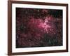 Eagle Nebula-Stocktrek Images-Framed Photographic Print