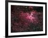 Eagle Nebula-Stocktrek Images-Framed Photographic Print