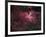 Eagle Nebula-Stocktrek Images-Framed Photographic Print