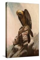 Eagle on Cliff-null-Stretched Canvas