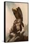 Eagle on Cliff-null-Framed Stretched Canvas