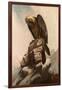 Eagle on Cliff-null-Framed Giclee Print