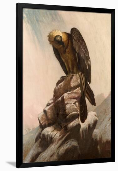 Eagle on Cliff-null-Framed Giclee Print