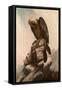 Eagle on Cliff-null-Framed Stretched Canvas