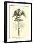 Eagle on Roman Standard-null-Framed Giclee Print