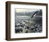 Eagle Over Water-Kevin Daniel-Framed Art Print