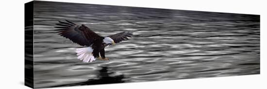 Eagle over Water-null-Stretched Canvas
